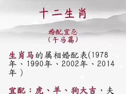 生肖马#十二生肖 @抖音小助手