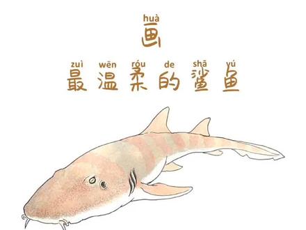 #我要上热门 最温柔的鲨鱼护士鲨,移动吸尘器!#学浪计划 #画画 #手绘