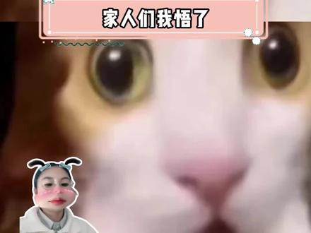 查分系统你在考验我的耐心吗#考研成绩查询#26考研调剂信息#考研出分时间#研究生#新南威尔士大学招生条件