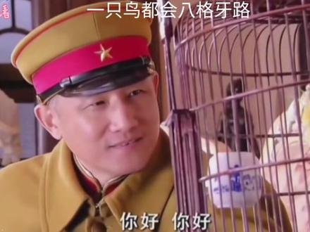 #创作者伙伴计划
一只鸟都会八格牙路