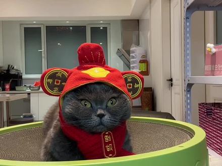 招财猫来喽~#2026发发发