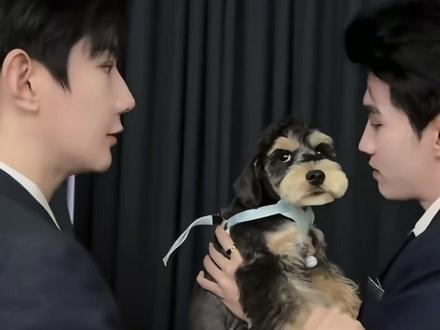 普普:它不喜欢被吹气。。。
云旗:你喜欢吗?我听听?。。
犟种就是趁着家长不在就找事!#云旗 #郝熠然