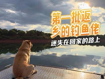第一批反乡的钓鱼佬,却迷失在回家的路上#钓鱼 #钓鱼人的天堂 #益塘水库