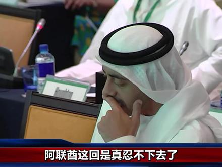 美媒曝阿联酋翻脸,三大原因可能对伊朗出手,特朗普或成最大赢家 #时代的荣耀 #零基础看懂全球 #全球创作者计划 #春节世界观察 #新年囤点专业货