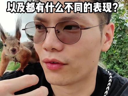 鼠鼠秋燥会有什么表现? #养鼠人的日常