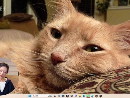 openclaw升级版部署使用教程:一分钟教你用龙虾 不会用龙虾?别急,教程来啦!一分钟时间,小白也能轻松学会!#openclaw #龙虾openclaw #openclaw安装 #openclaw部署 #龙虾机器人