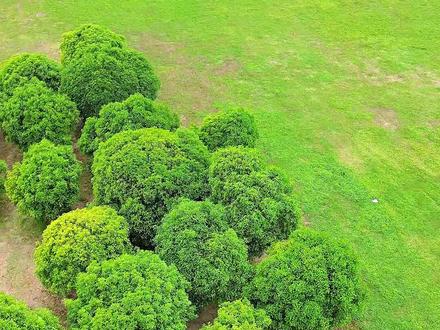 100个免费露营地|假装在内蒙古大草原,江浙沪免费露营地一定要去一次~
#上海露营地推荐 #江浙沪露营 #露营地 #免费露营地#100个免费露营地