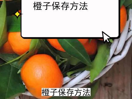 橙子保存方法 #三农种植 #农业种植技术 #种植小技巧 #种植方法