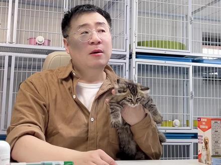 猫猫不让抱?学会这招就搞定! #新手养猫 #科学养猫攻略 #猫咪 #猫猫的事情你少管