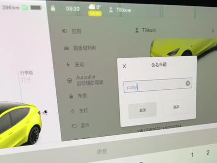 把你的特斯拉 名字改成patsy ,你上当了#特斯拉