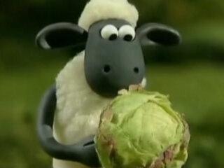 超详细【阿里云云服务器白嫖教程】 想要学云计算的宝子赶紧冲!白嫖一个还能再免费兑换一个,快乐加倍!#云计算 #阿里云 #阿里云栖大会 #阿里云服务器 #云服务器