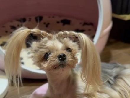 这个AI赛博判官也太好用了 最终选了个10分发型美美大片#阿里全新ai助手千问app来了 #千问ai #千问#千问AI逻辑鬼才