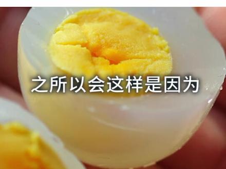 煮熟的鸽子蛋为什么是透明的?