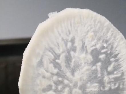 买了个萝卜,心里呈淡蓝色,切片呈透明状。能吃吗?在线等啊!急急急!#奇闻奇事 #奇特现象 #奇特