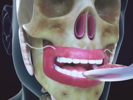 吃下去的食物是怎样变成粪便的?#科普一下 #涨知识 #冷知识