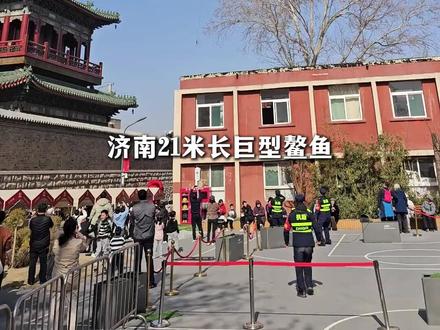 #21米长鳌鱼被风吹跑 工作室悬赏10000元找寻 #美丽主播说新闻