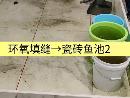 环氧填缝剂能不能防水?鱼池可不可以说明问题?#卫生间防水 #环氧填缝 #岳阳天品