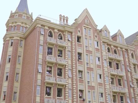 到天一学院当学弟会是一种什么样的体验呢?#青春的样子 #记录校园生活