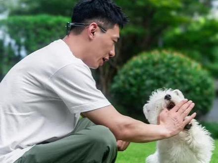 过年回家,狗狗坐车晕车,怎么办?🐕🐕
狗狗不晕车完整指南✨✨
您还有什么好办法,评论区等你👇#宠物知识 #养狗经验分享 #养宠知识 #宠物科普 #狗狗