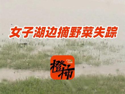 55岁女子为补贴家用独自去洞庭湖边摘藜蒿失踪 家属:还在搜救