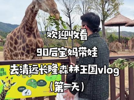 带娃两天一夜#清远长隆 vlog!答应我,一定要带娃来一次清远长隆森林王国!真的太好玩了,酒店一站式服务,#亲子游玩好去处 #清远长隆野生动物园 #游玩攻略 #vlog日常