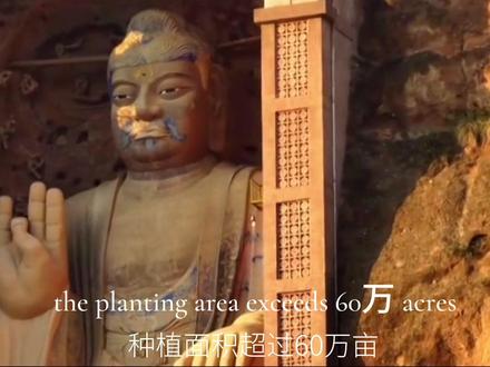 欢迎来到我的家乡,华夏第一县 甘谷#大西北 #甘肃 #航拍最美家乡