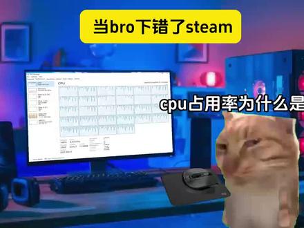 当bro下错了steam#猫meme #steam #假steam #电脑 #dou上热门 @DOU+小助手