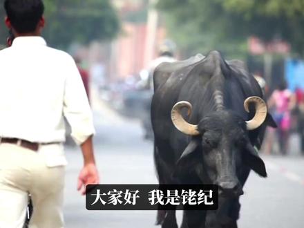 氢,能救印度吗? 印度多个城市进入48℃高温,缺电严重,氢能救印度吗?#氢能 #氢燃料电池 #绿氢 #光伏 #铂道氢能