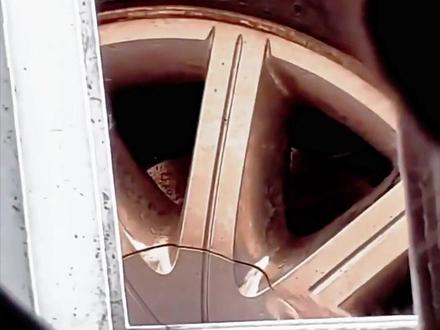 哪个猫抓老鼠厉害? #猫咪 #橘猫 #社会猫 #动物