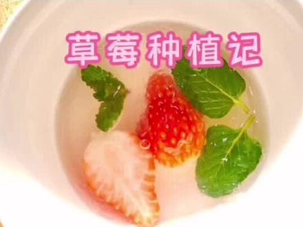 #变声 #2022新农人计划 #草莓🍓 草莓小知识。