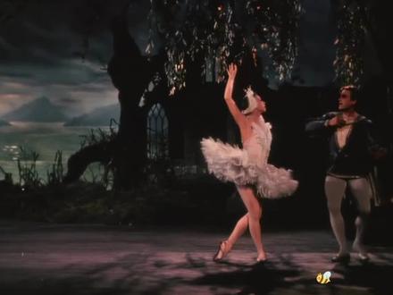 你喜欢谁的白天鹅?#舞蹈 #芭蕾 #天鹅湖