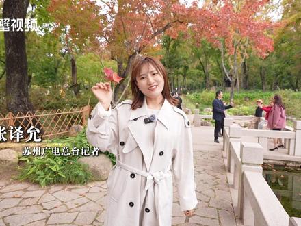 苏州天平山红枫进入最佳观赏期,赏枫出行攻略来了 #江苏dou知道 #苏州同城 #枫叶红了