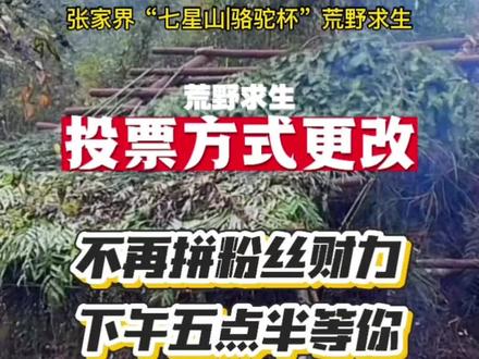 这样好!有钱没钱下午五点半,准时为你喜欢的选手投出宝贵一票🎫#荒野求生 #张家界七星山骆驼杯 #老六荒野 #张家界七星山