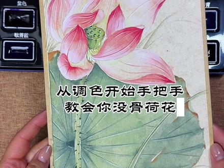 大家期待的超级详细的荷花教程来啦 之前被粉丝说教程不够详细,这会够详细了吧,赶紧码住!练起来,作业赶紧丢过来……
#国画教程 #没骨画 #零基础学画画 #传统文化传承 #荷花