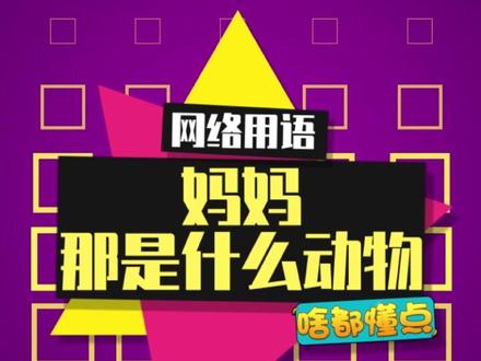#一念逍遥 海绵宝宝经典语录之一 #海绵宝宝 #当修仙者被嘲讽