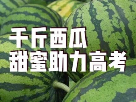 千斤西瓜 甜蜜#助力高考
