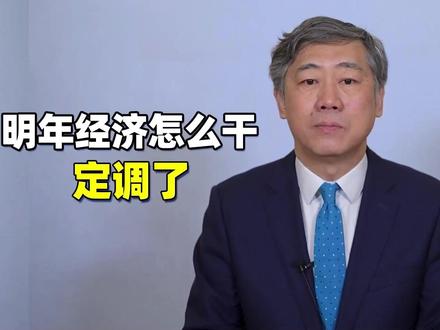 2026年中国经济工作定调了,哪些信号值得重点关注? #财经有“稻” #大咖观察 #2026经济风向标 #零距离看懂财经