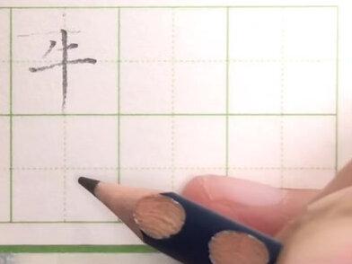 一年级写字表,牛的写法#创作灵感 #一年级 #少儿规范字 #写字 #练字 @抖音文化站 @DOU+小助手