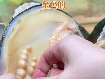 开珍珠和开盲盒你觉得哪个更有意思?#开珍珠蚌 #开盲盒