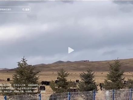 网传找到格林的小屋是真的吗?
#重返狼群 #格林 #格林小木屋