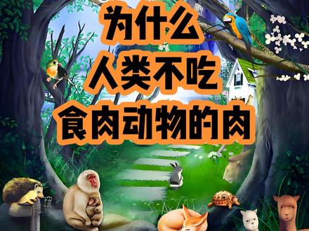 为什么人类不吃食肉动物的肉
