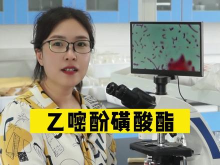 能让农作物白粉病快速脱粉的杀菌剂,唠一唠#白粉病 #白粉病的防治 #农业种植#杀菌剂 #农业种植