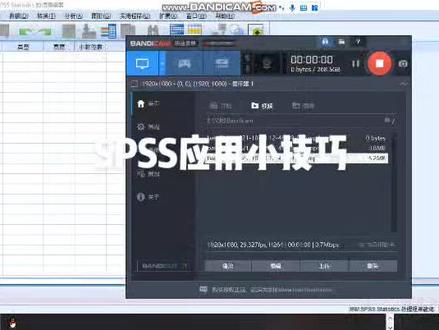 SPSS怎么切换语言#干货 #教程 #数据分析 #spss