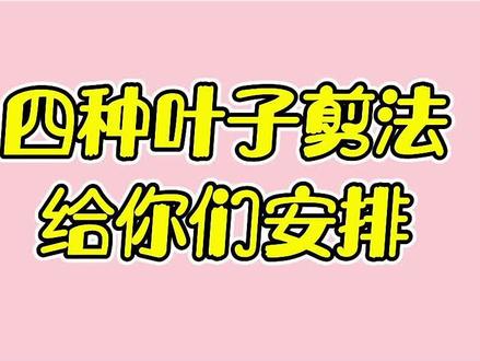 幼师集美们你们找的叶子剪法安排来了,快快收藏起来吧,需要素材评论扣1😉@DOU+小助手 #春日环创 #叶子剪法