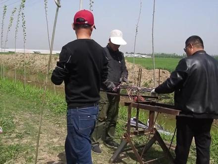 给葫芦搭架子了~#抖音新农人