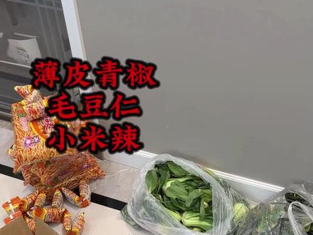 哈哈哈哈哈哈网购蔬菜太让人惊喜了,它上面是有自己的货币吗