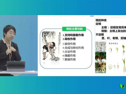 植物学 第四章植物的根 双子叶植物根初生构造(上) #植物 #双子叶 #课堂实录 #名师课堂 #锄禾学堂