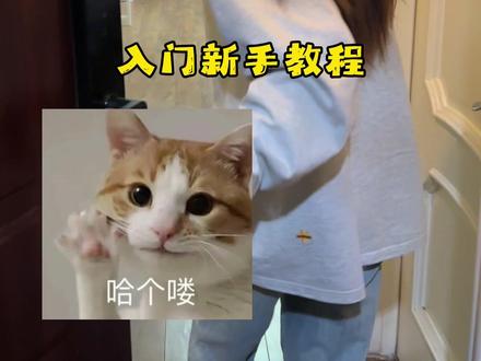 新手教程来咯 #豆豆逗逗豆 #拼豆豆 #拼豆 #拼豆教程 #拼豆图纸