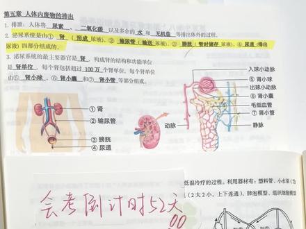 2026生地会考|尿液的形成模型题解题思路❗ #初中生物#生地会考#生物#会考#中考