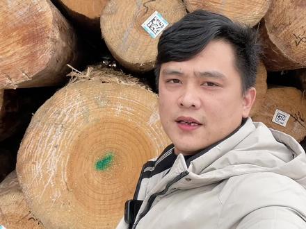 辐射松的优与劣,根据需求选择材质,根据市场敲定价格,行情一直在变,但是小刘一直都在!#建筑木方 #建筑木方厂家 #辐射松 #工厂实拍